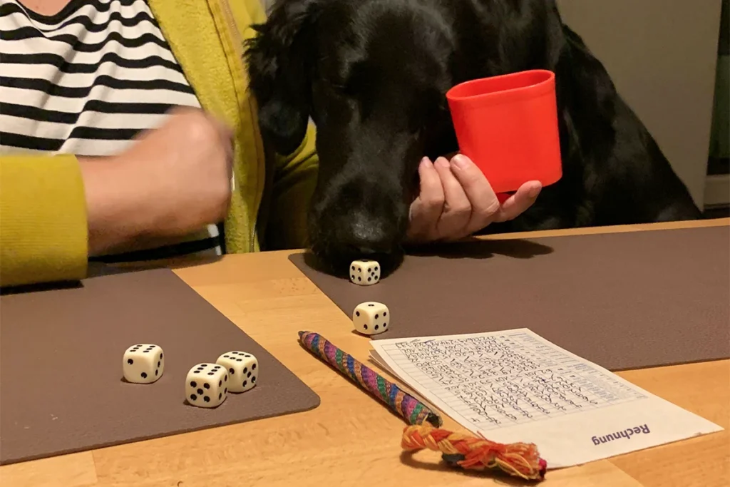 Hundegestützte Förderung Preise